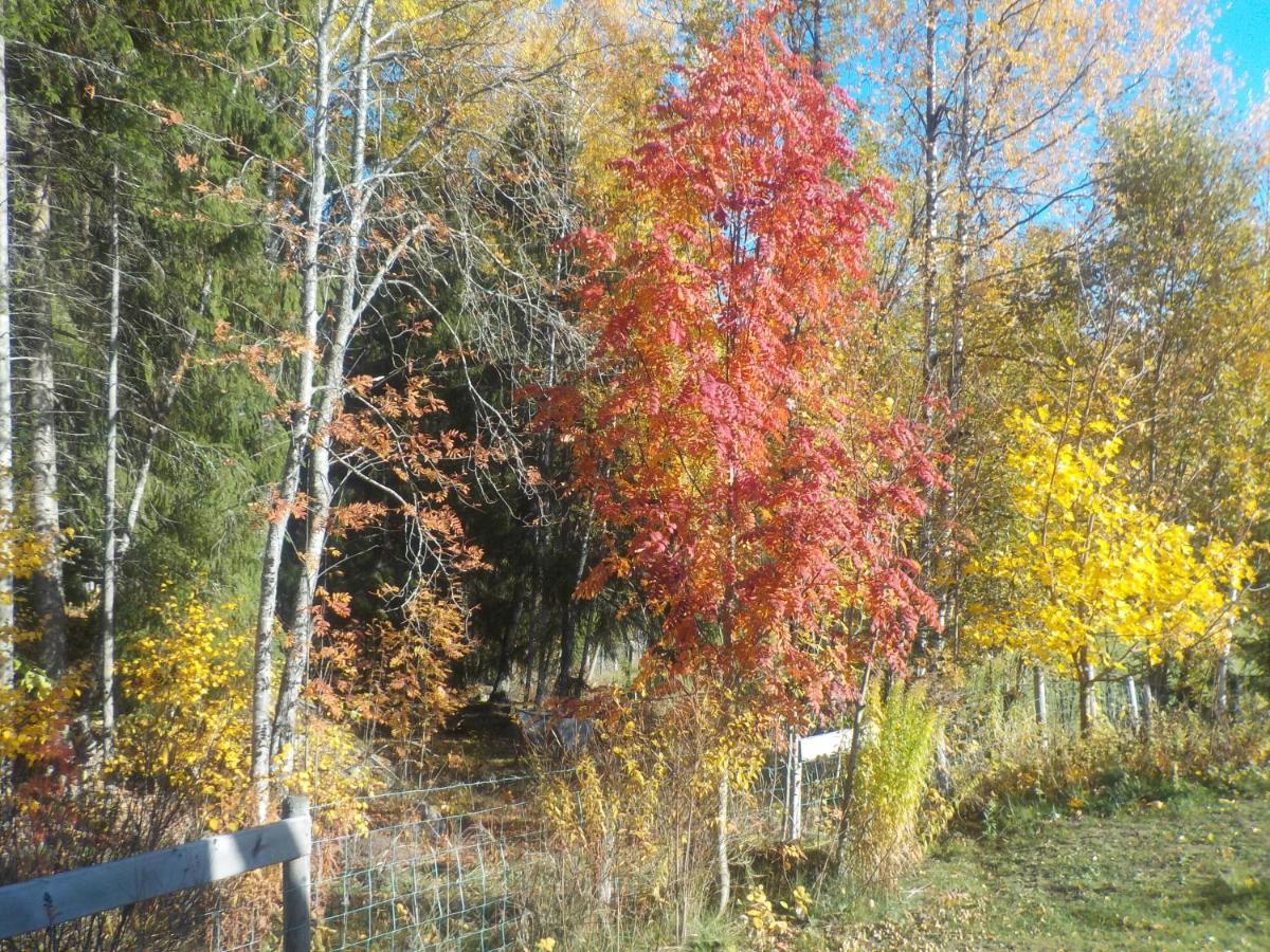 Lovelund Farm. Cottage Hagfors Exterior photo